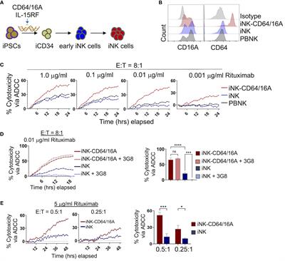 iPSC-derived NK cells expressing high-affinity IgG Fc receptor fusion CD64/16A to mediate flexible, multi-tumor antigen targeting for lymphoma